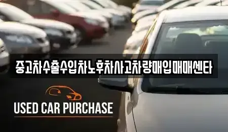 경북 영천시 신기동 중고차매매 전문 중고차수출수입차노후차사고차량매입매매센타