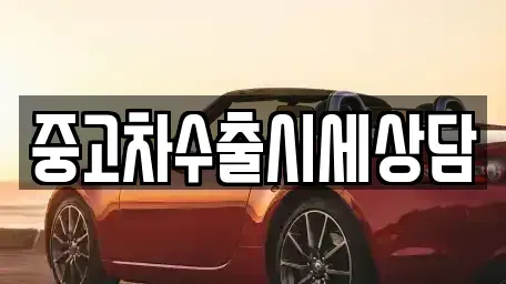 경북 영천시 신기동 중고차매매 전문 중고차수출시세상담