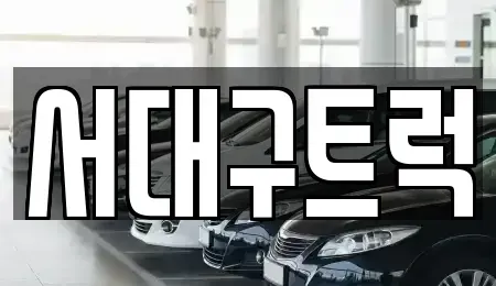 경북 칠곡군 기산면 중고차매매 전문 서대구트럭
