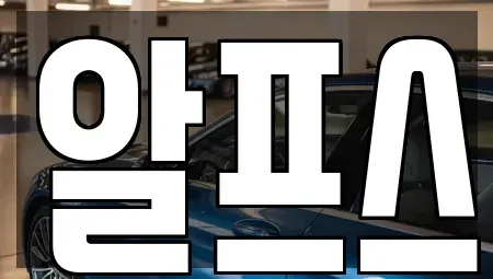 경북 포항시 남구 일월동 렌트카 전문 알프스