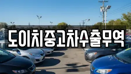 경북 포항시 남구 일월동 중고차매매 전문 도이치중고차수출무역