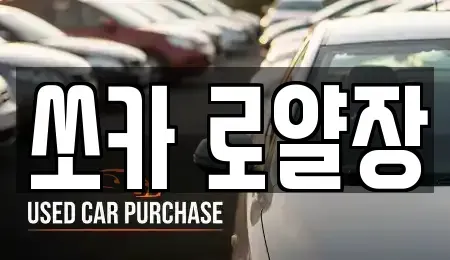 경북 포항시 남구 해도동 렌트카 전문 쏘카 로얄장