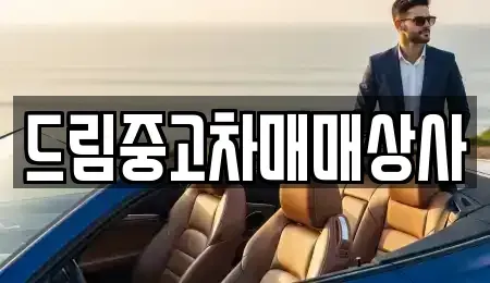경상남도 거제시 덕포동 중고차매매 전문 드림중고차매매상사