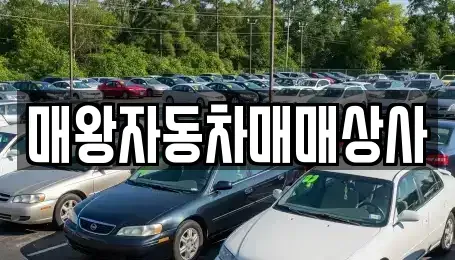 경상남도 거제시 덕포동 중고차매매 전문 매왕자동차매매상사