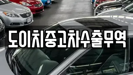 경상남도 거제시 삼거동 중고차 전문 도이치중고차수출무역