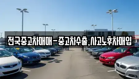 경상남도 거제시 삼거동 중고차 전문 전국중고차매매-중고차수출,사고노후차매입