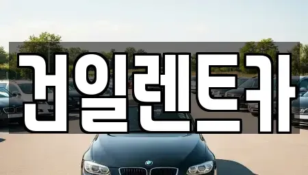 경상남도 김해시 삼정동 렌트카 전문 건일렌트카