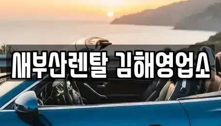 경상남도 김해시 삼정동 렌트카 전문 새부산렌탈 김해영업소