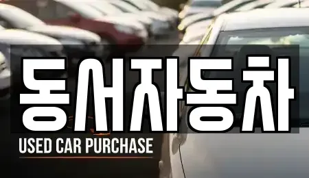 경상남도 김해시 삼정동 중고차 전문 동서자동차
