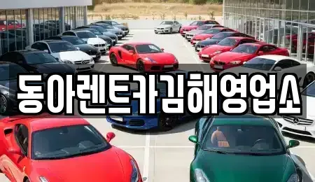 경상남도 김해시 율하동 렌트카 전문 동아렌트카김해영업소