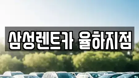 경상남도 김해시 율하동 렌트카 전문 삼성렌트카 율하지점