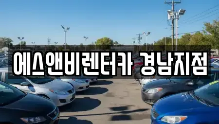 경상남도 김해시 율하동 렌트카 전문 에스앤비렌터카 경남지점