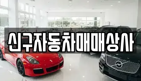 경상남도 김해시 율하동 중고차 전문 신구자동차매매상사