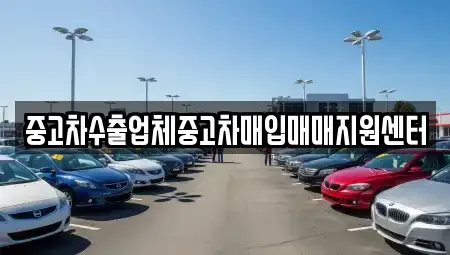 경상남도 진주시 봉래동 중고차매입 전문 중고차수출업체중고차매입매매지원센터