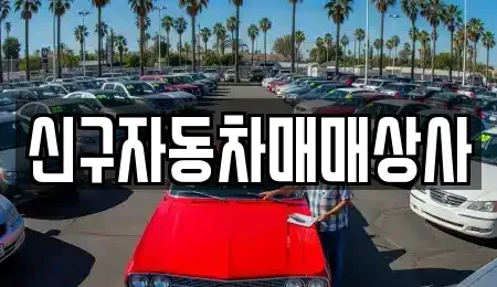 경상남도 창원시 마산합포구 우산동 중고차 전문 신구자동차매매상사