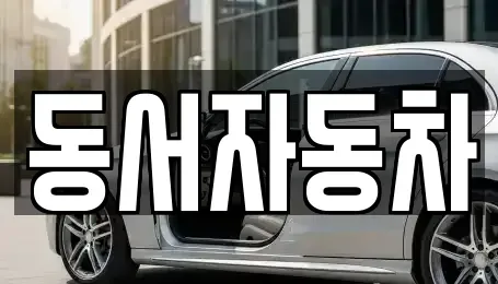 경상남도 창원시 마산합포구 창포동3가 중고차매매 전문 동서자동차
