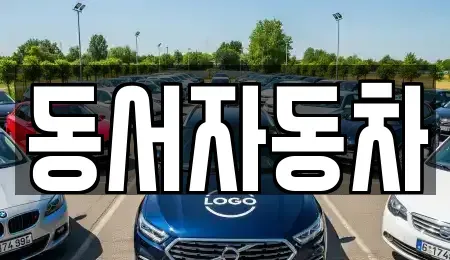경상남도 창원시 의창구 봉림동 중고차매매 전문 동서자동차