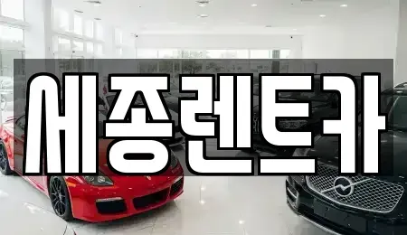 경상남도 창원시 진해구 남문동 렌트카 전문 세종렌트카