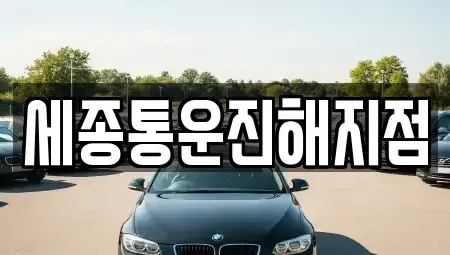 경상남도 창원시 진해구 남문동 렌트카 전문 세종통운진해지점