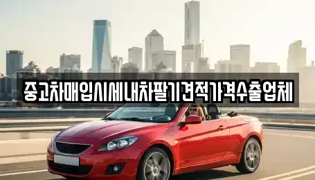 경상남도 창원시 진해구 남문동 중고차 전문 중고차매입시세내차팔기견적가격수출업체