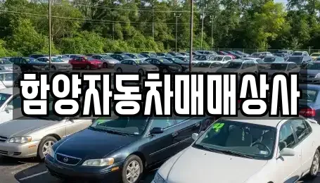 경상남도 함양군 지곡면 중고차,렌트카,중고차매입,중고차매매,장기렌트카,단기렌트카