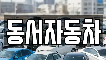 경상북도 경주시 감포읍 중고차 전문 동서자동차