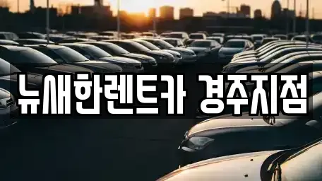 경상북도 경주시 탑동 렌트카 전문 뉴새한렌트카 경주지점