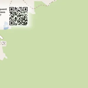 경상북도 경주시 탑동 중고차매매 동서자동차 위치