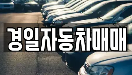 경상북도 구미시 산동읍 중고차 전문 경일자동차매매