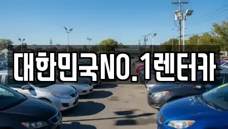 경상북도 상주시 오대동 렌트카 전문 대한민국NO.1렌터카