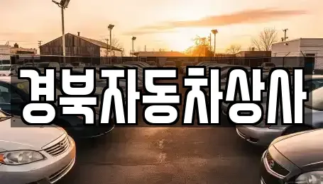 경상북도 성주군 초전면 중고차매매 전문 경북자동차상사