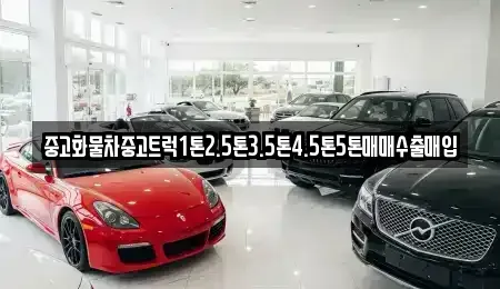 경상북도 영덕군 중고차매입 전문 중고화물차중고트럭1톤2.5톤3.5톤4.5톤5톤매매수출매입