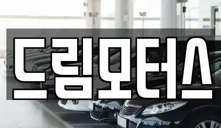 경상북도 영주시 상망동 중고차 전문 드림모터스