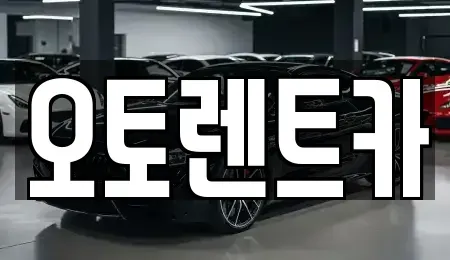 경상북도 포항시 남구 해도동 렌트카 전문 오토렌트카