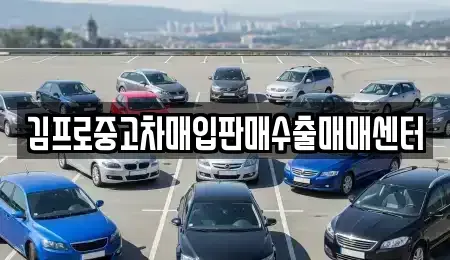 경상북도 포항시 남구 해도동 중고차매입 전문 김프로중고차매입판매수출매매센터