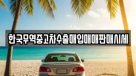 경상북도 포항시 남구 해도동 중고차매입 전문 한국무역중고차수출매입매매판매시세