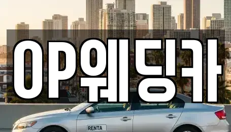 광주 광산구 도천동 렌트카 전문 OP웨딩카