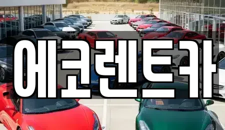 광주 광산구 도천동 렌트카 전문 에코렌트카