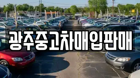 광주 광산구 도천동 중고차 전문 광주중고차매입판매