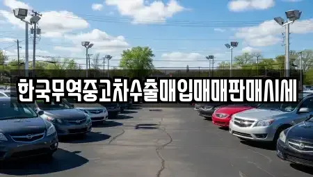 광주 광산구 도천동 중고차 전문 한국무역중고차수출매입매매판매시세