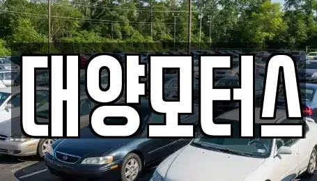 광주 광산구 두정동 중고차매매 전문 대양모터스