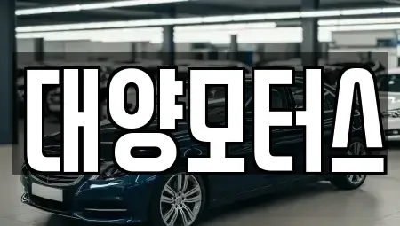 광주 북구 연제동 중고차 전문 대양모터스