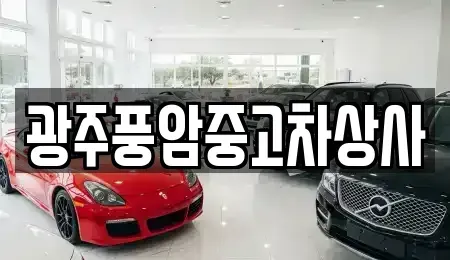 광주광역시 북구 연제동 중고차 전문 광주풍암중고차상사