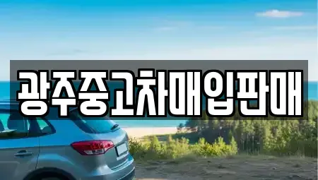 광주광역시 북구 연제동 중고차매입 전문 광주중고차매입판매