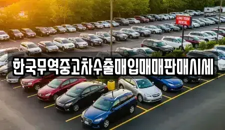 광주광역시 북구 유동 중고차매매 전문 한국무역중고차수출매입매매판매시세