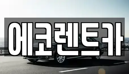 광주광역시 북구 지야동 렌트카 전문 에코렌트카