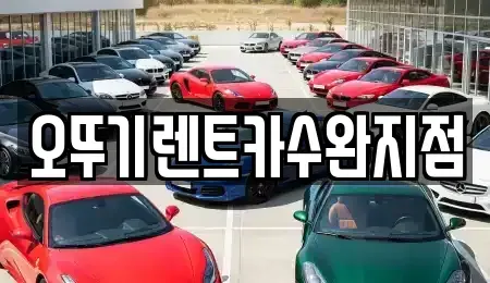 광주광역시 북구 지야동 렌트카 전문 오뚜기렌트카수완지점