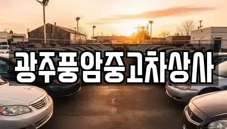 광주광역시 북구 지야동 중고차 전문 광주풍암중고차상사
