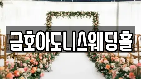 금호아도니스웨딩홀