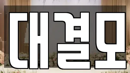 대결모